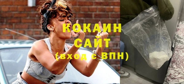 ПСИЛОЦИБИНОВЫЕ ГРИБЫ Бородино