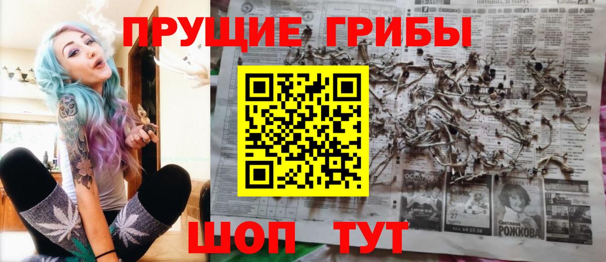 Псилоцибиновые грибы мицелий  Буйнакск 