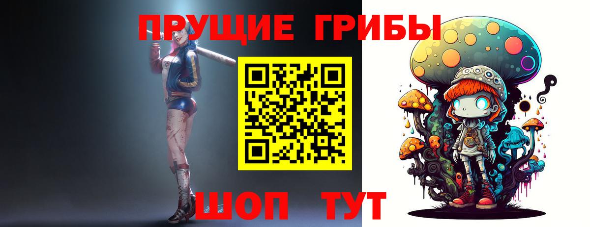 Галлюциногенные грибы прущие грибы  Вход с VPN  Буйнакск 