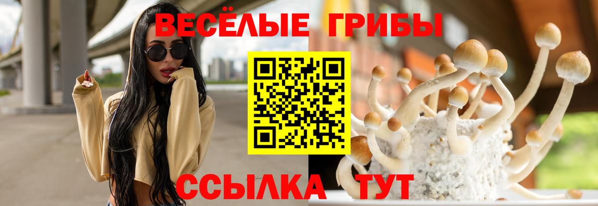 Галлюциногенные грибы Cubensis Буйнакск